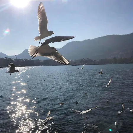 Casa L'aquila بيت ضيافة *