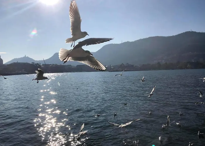 Casa L'aquila 招待所 *